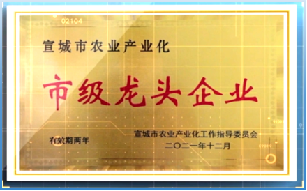 宣城市农业产业化龙头企业